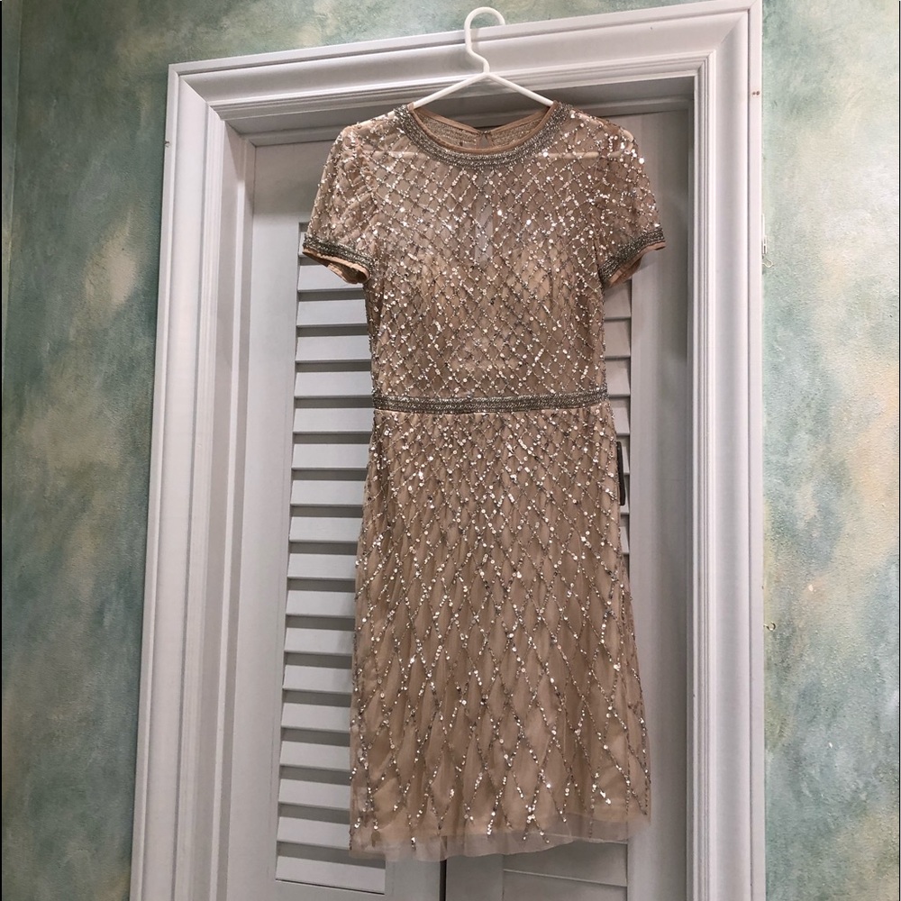 Rose Gold Adrianna Papell Holiday Dress NWT